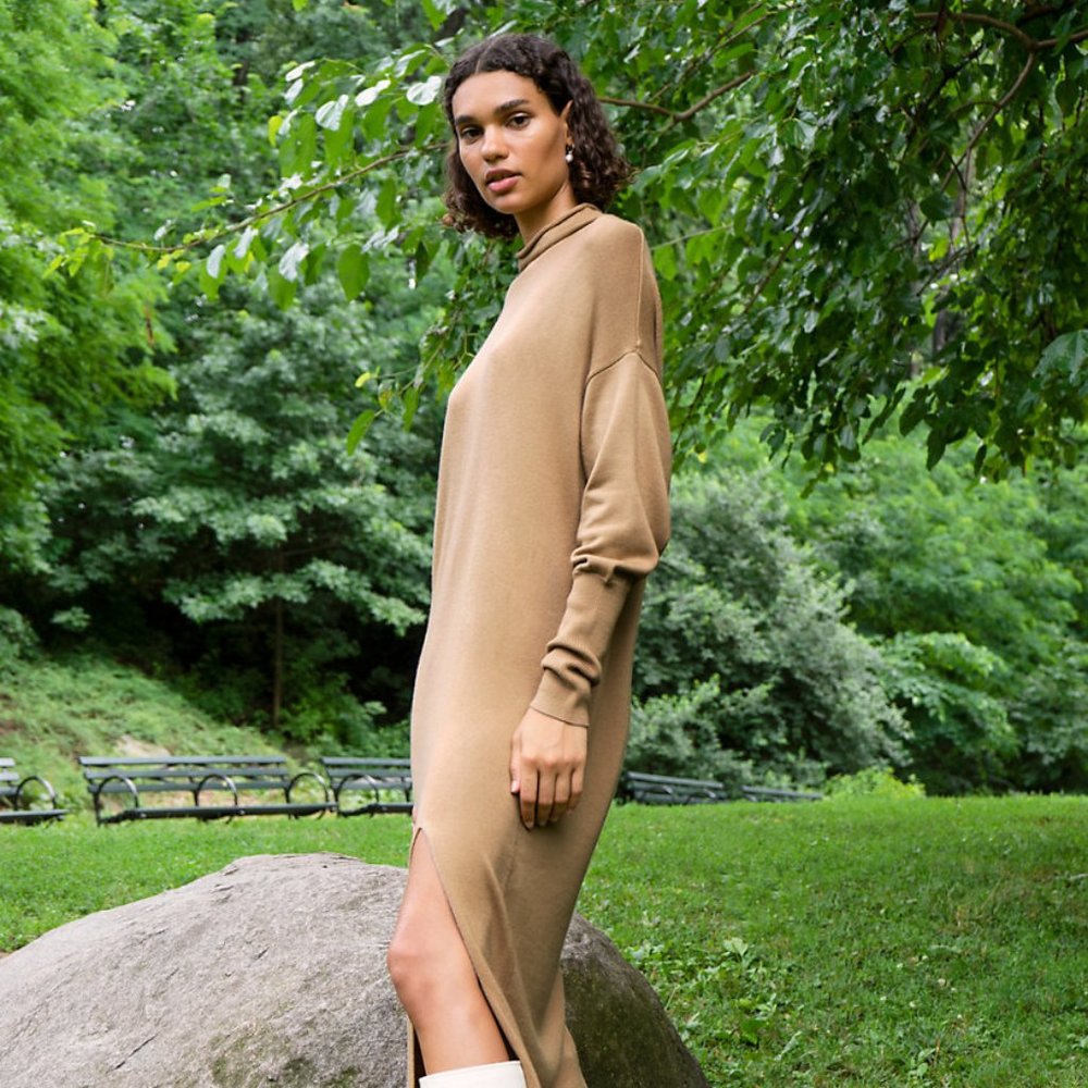 Aritzia Cyprie 100% Wool Sweater Dress